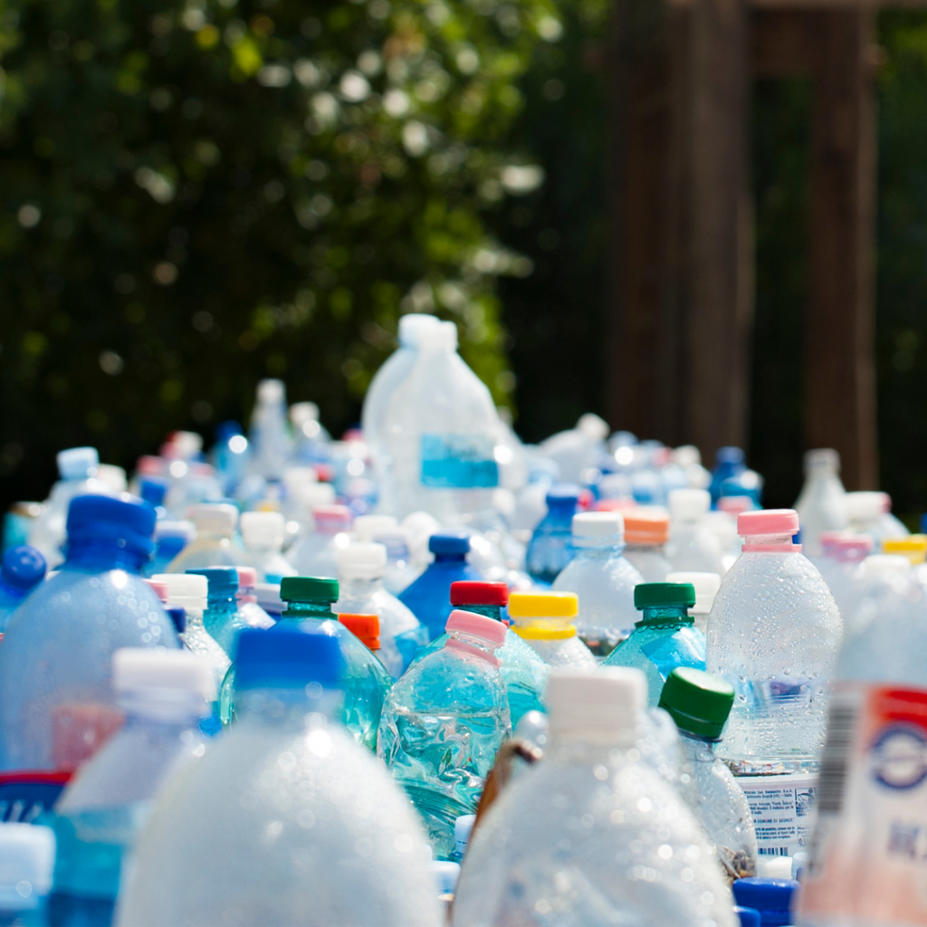 La pandemia de la basura