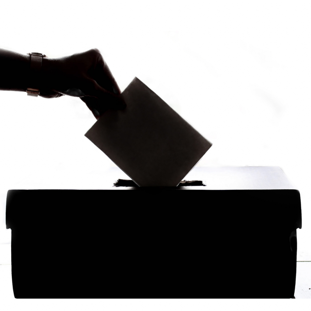 El fin de la democracia
