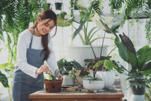 Empresaria de pequeñas empresas de jardinería doméstica, amor por las plantas y cuidados. Pequeñas empresas o las MIPYMES.